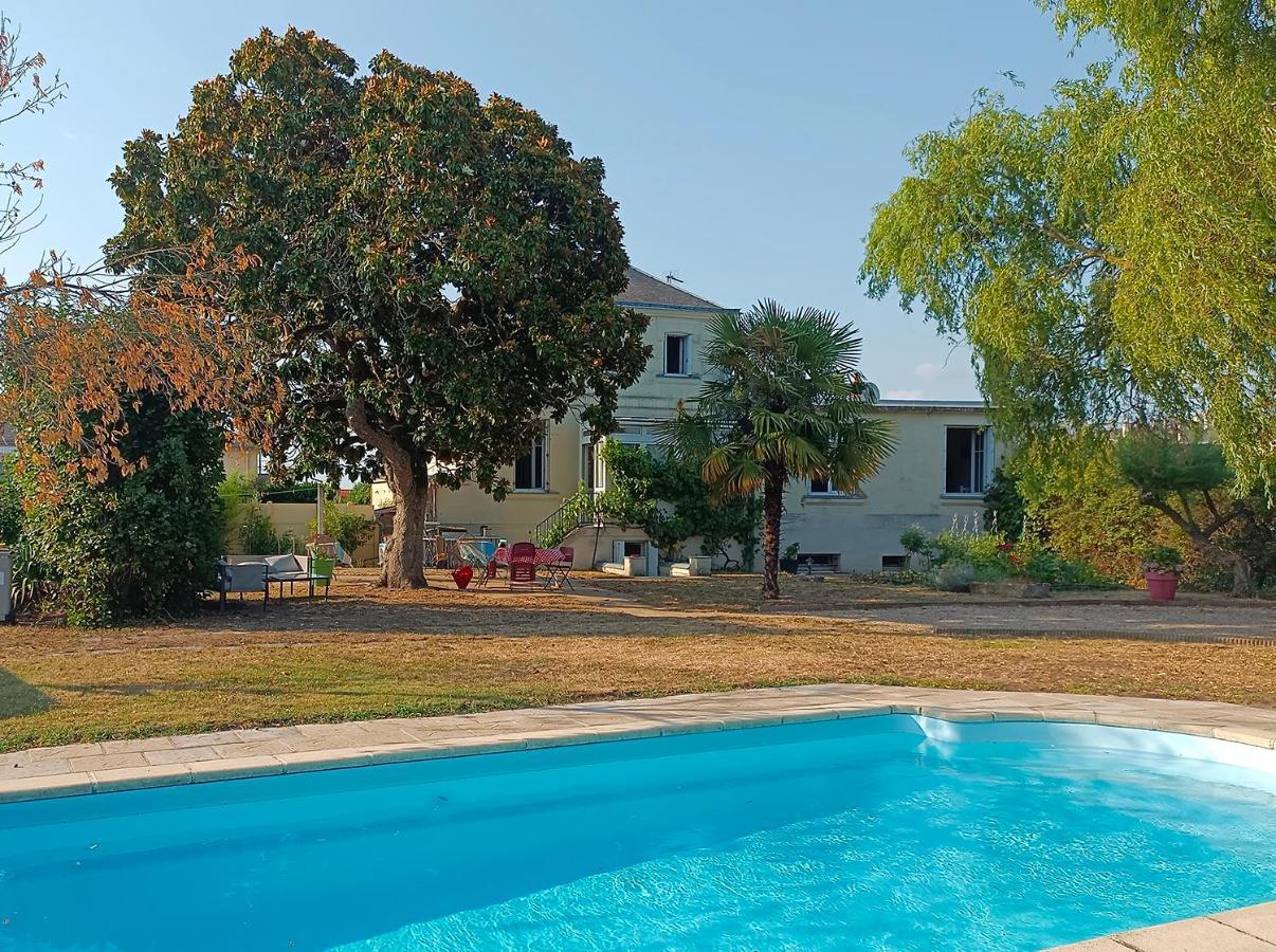 Le Magnolia, Chambre D'Hote Au Calme โซมูร์ ภายนอก รูปภาพ